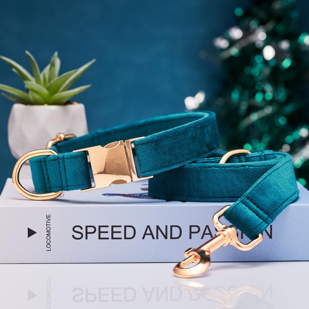 Ensemble collier et laisse pour chien en velours gravé avec boucle métallique réglable