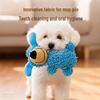 Interactive Squeaky Molar Dog Toy