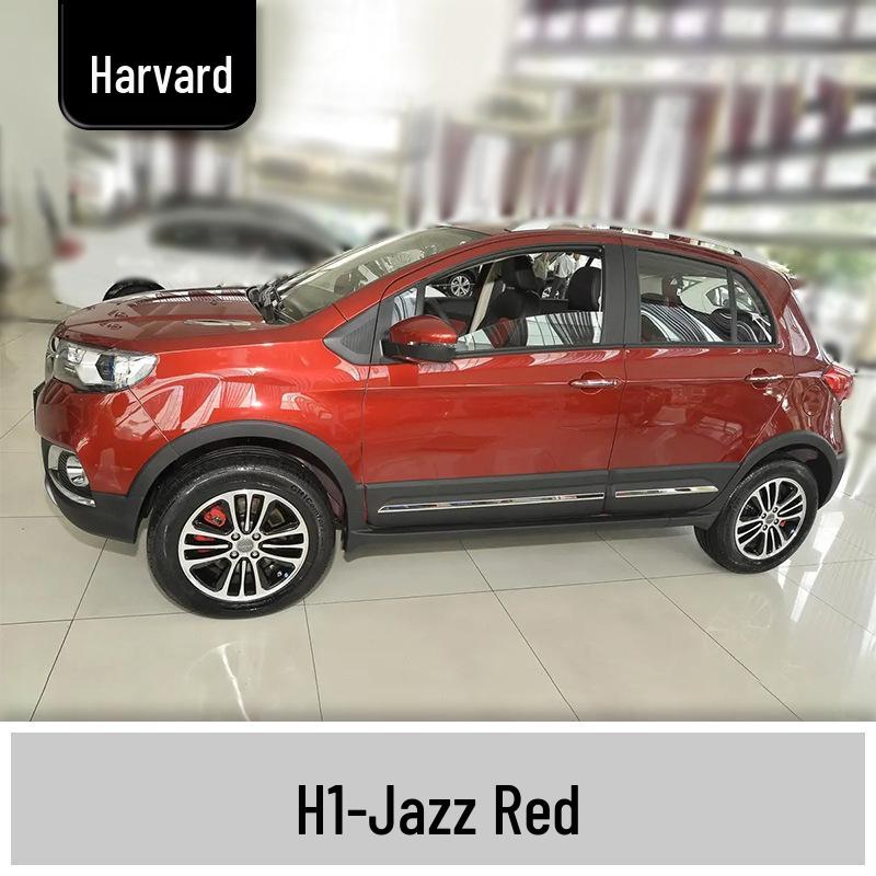 Haval H1/H2 Scratch Repair Pen - White/Black Touch-Up Paint
