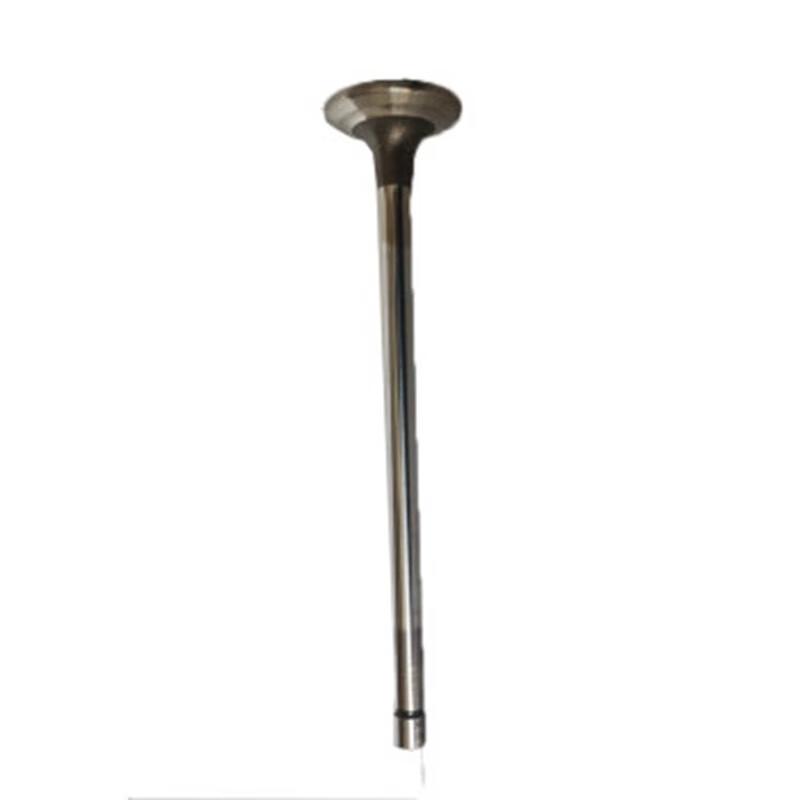 Moli Shaanxi SX2190N Exhaust Valve