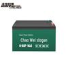 CHILWEE 6-DZF-12 12V 12AH Graphene EV Battery