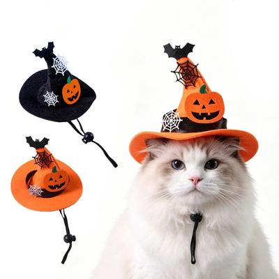 Katzen – Kleidung für Katzen