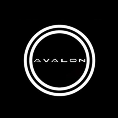 2PCS For Toyota Avalon 2022 and later models, car door welcome light, projector light, ground light, door warning light, decorat