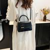 Bag New 2025 Foreign Style Crossbody Foreign Style Texture Handbag Korean Version Simple Fashion Shoulder Texture Small Square Bag