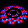 5m 300-LED DC12V RGB 3528 SMD Car Off-Road Glow Atmosphere Lamp Strip Waterproof