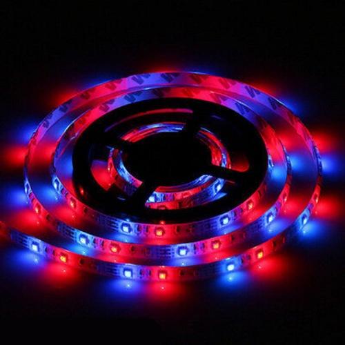 5m 300-LED DC12V RGB 3528 SMD Car Off-Road Glow Atmosphere Lamp Strip Waterproof