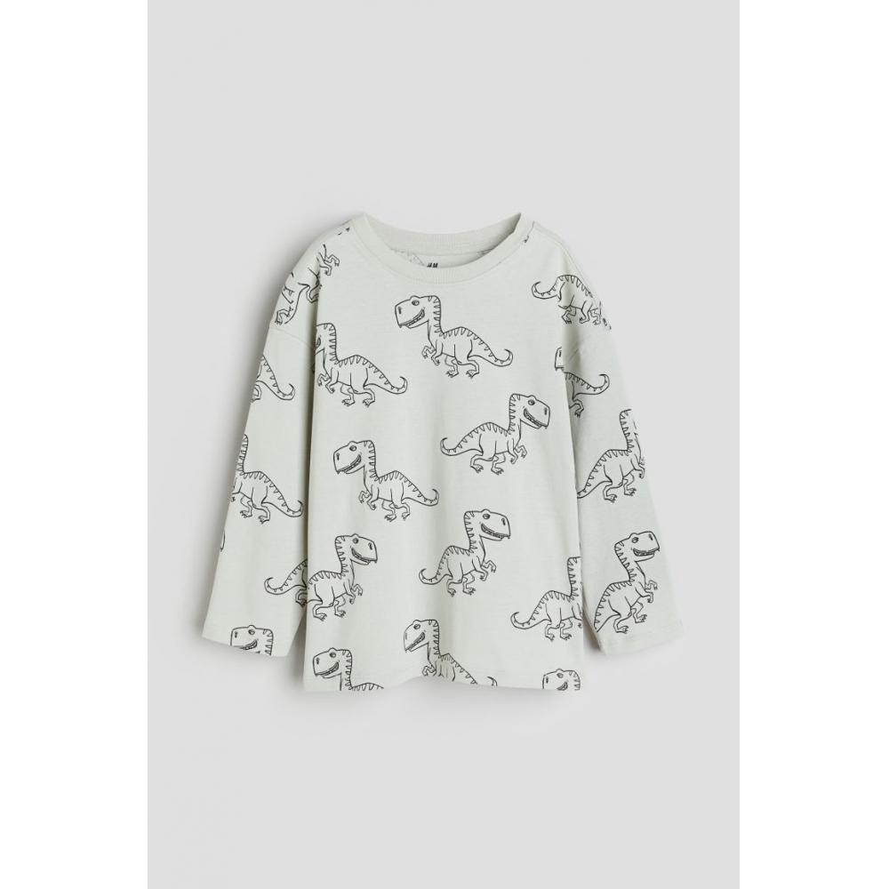 

Футболка HM с длинным рукавом Светло-пыльно-зеленые динозавры