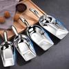 Dino Stainless Steel Ice Scoop