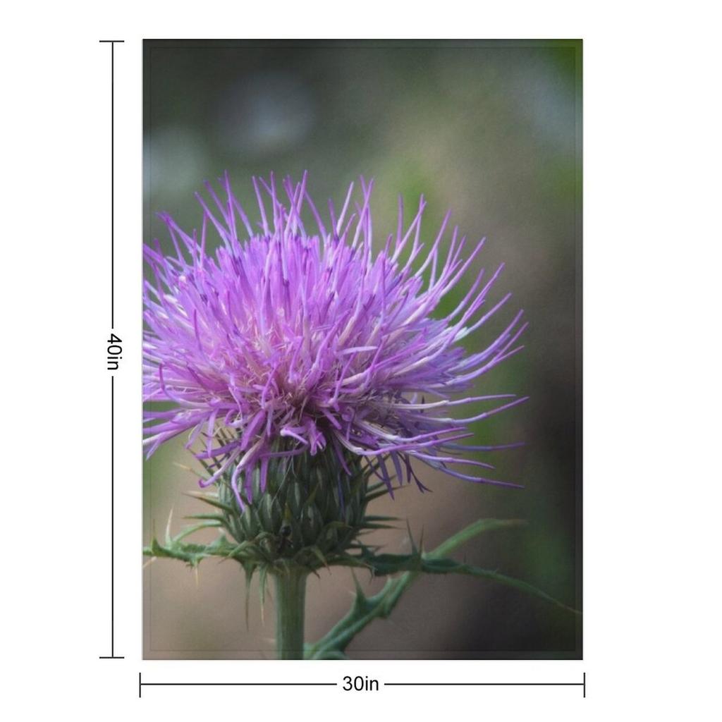 Distel Überwurfdecke Halloween Karomuster Riesiger Sofa Luxus Überwurfdecken