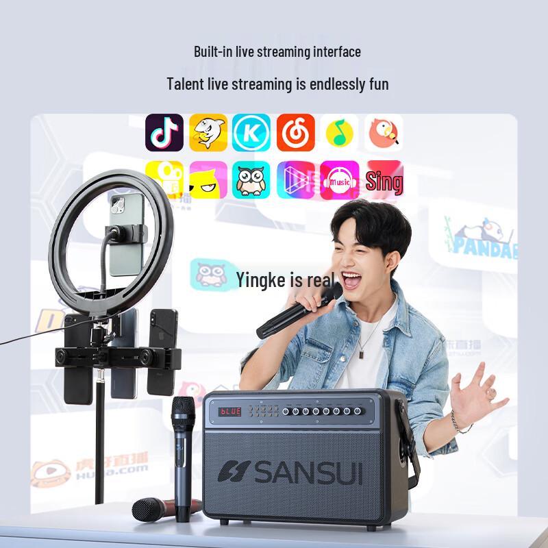 SANSUI Portable Karaoke KTV Speaker System