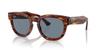 Sunglasses RB0298SF MEGA HAWKEYE STRIPED HAVANA 53 Ray-Ban