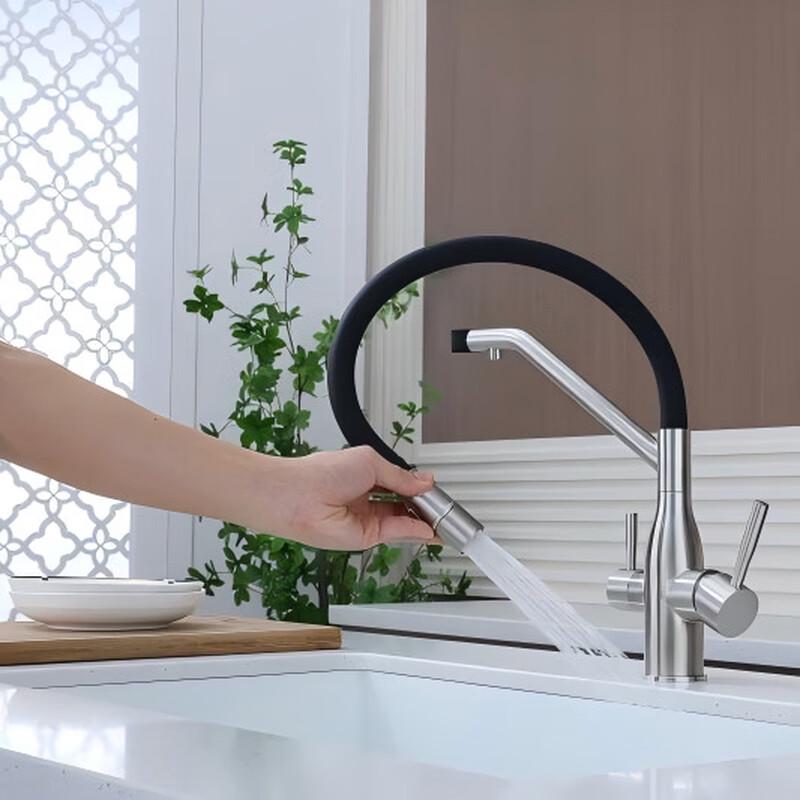 TLXT 3-in-1 Brushed Stainless Steel Wall-Mounted Kitchen Faucet