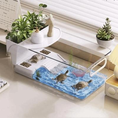 Reptilien – Reptilien-Terrarien