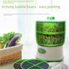 Automatic Large-Capacity Household Bean Sprout Machine