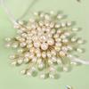 Pearl Brooch Pin Snowflake High-end Silk Scarf Buckle Luxury Exquisite Ladies Clothing Accessories Dress Skirt Jewelry zapatos