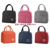 Portable Food Storage Thermal Food Bag for Women and Kid, Lunch Box for Picnic and Travel, Lunch Bag with Handle Insulation