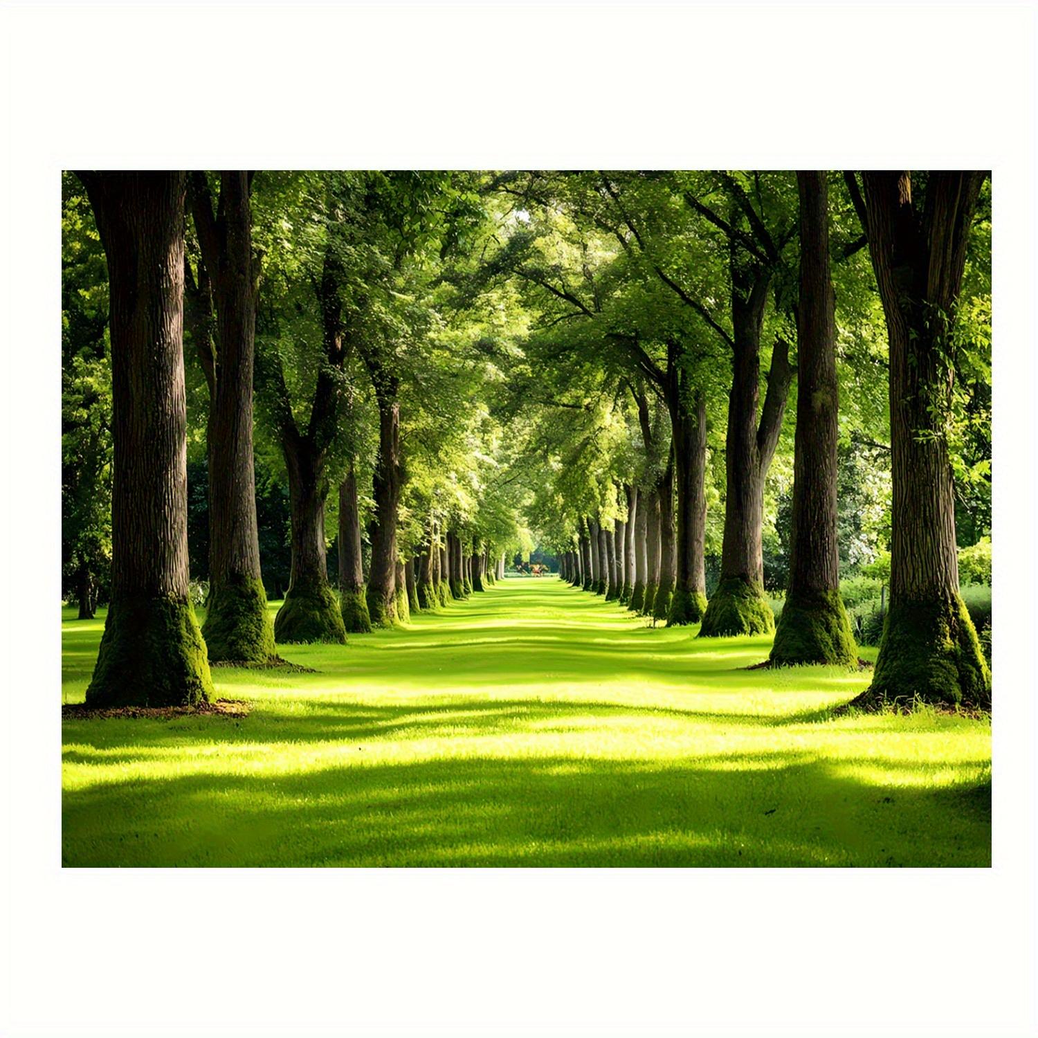 

Enchanting Nature Scenery Tapestry Vibrant Lush Greenery Sunlit Pathway Realistic Landscape Wall Art Living Room 74x94cm(29x37in)