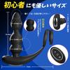 Laphwing Anal 6 Types of Rotation and 10 Types of Remote Control Remote Control for USB Sex Adult Goods Vibrator, Vibration, Included, Men,
