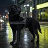 Easy On Off Dog Harness No-Pull with Handle, Adjustable Reflective Harness, Heavy-Duty No-fuss Padded Nylon for Medium Large Dogs Walking Training