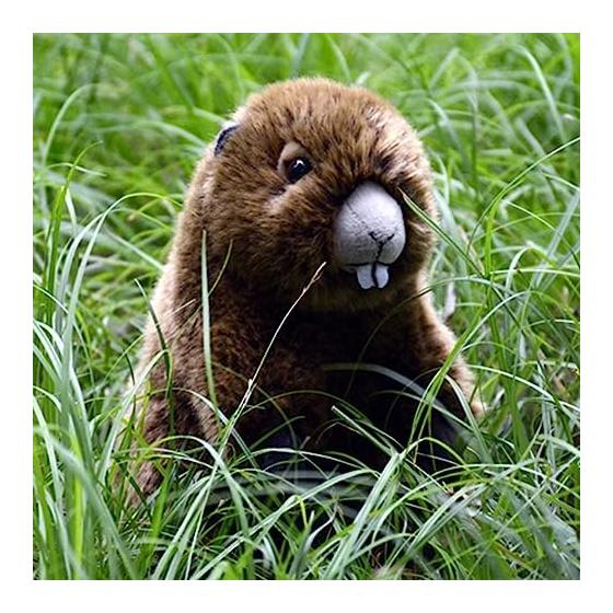 lilizzhoumax Realistic Groundhog Plush Super Soft Groundhog Stuffed Animal Toys for Girls Gifts for Kids Brown 9 inch