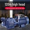 220V Vollautomatische selbstansaugende Hochdruck-Schneckenförderpumpe