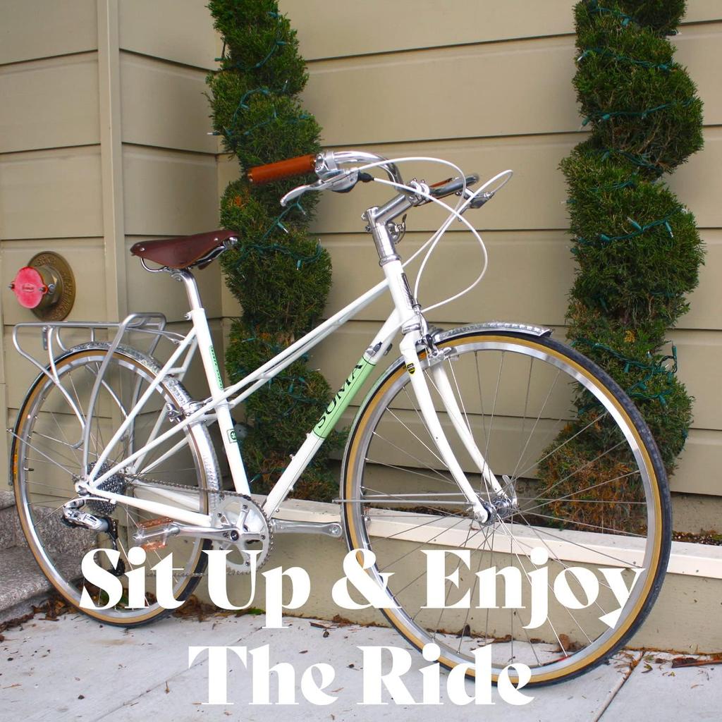 SOMA Oxford Bar Bar Clamp Silver Silver Silver/540mm Diameter 25.4mm