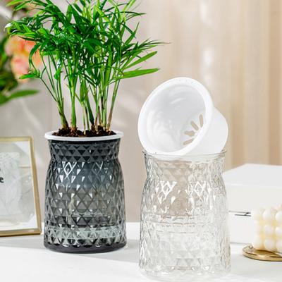 Self-Absorbing Vase Transparent Water Level Indicator Embossed Self-Watering Planter with Breathable Bottom for Indoor Plants Succulents Herb Cactus
