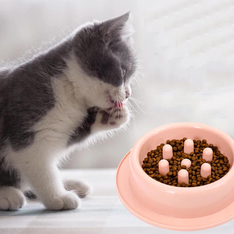 Neuer Fressnapf mit Verdickung und Anti-Schling-Einsatz für Katzen und Hunde zur Vermeidung des Umkippens, Hundenapf, Haustierbedarf
