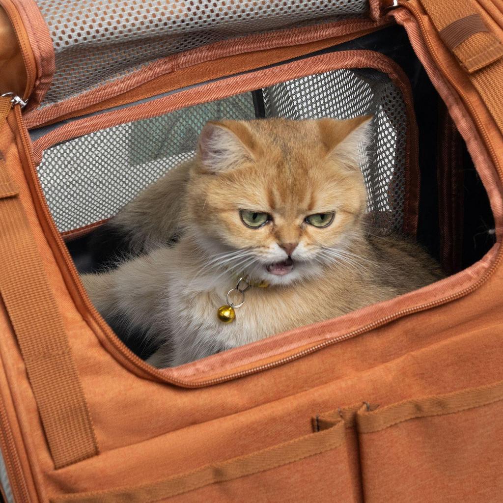Expandable Breathable Cat Backpack with Double Shoulders - Portable Space Capsule for Large Cats