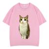 Cat Owl Funny Meowl Meme Brainrot Graphic Tshirts Unisex Unisex Fashion Short Sleeves Tshirt Cotton Oversized T Shirts Streetwear