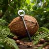 Stainless Steel Manual Coconut Opener Puncher 1Pc Professional Coconut Hole Punch Tool for Coconuts Nuts Hard Shells