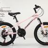 Phoenix Children's Mountain Bike