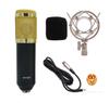 BM-900 Condenser Microphone: Computer Recording, Karaoke, Cross-Border Hot Sale