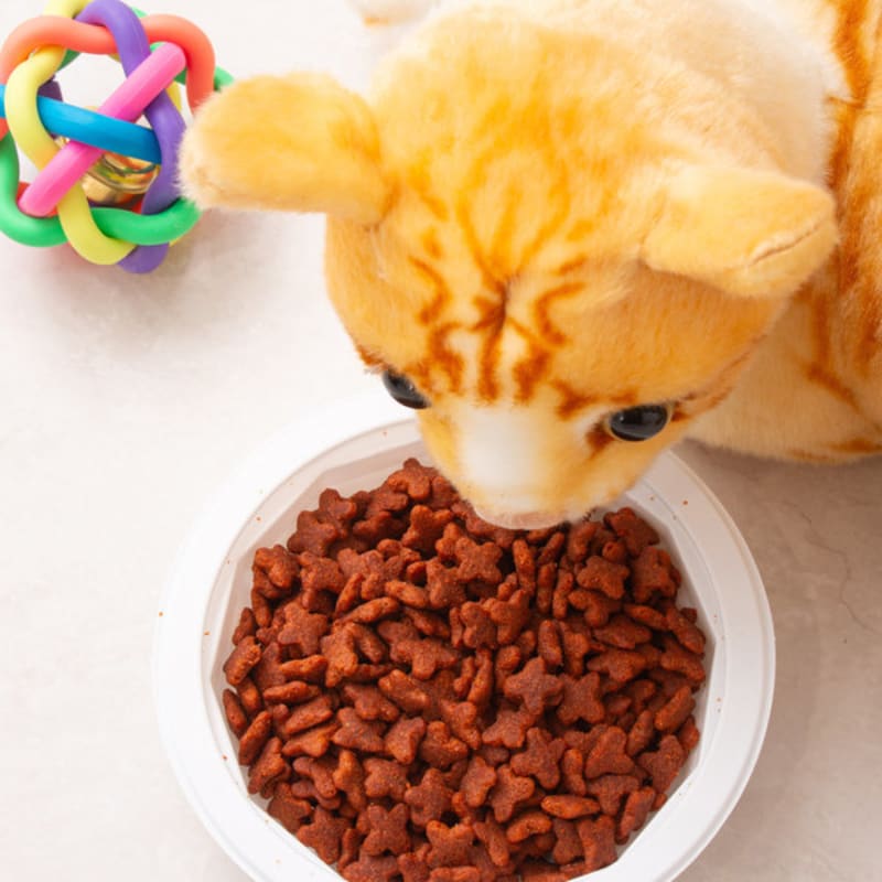 [Pet] Cat Cat Ban Pet Lunch Box Seafood 60 G