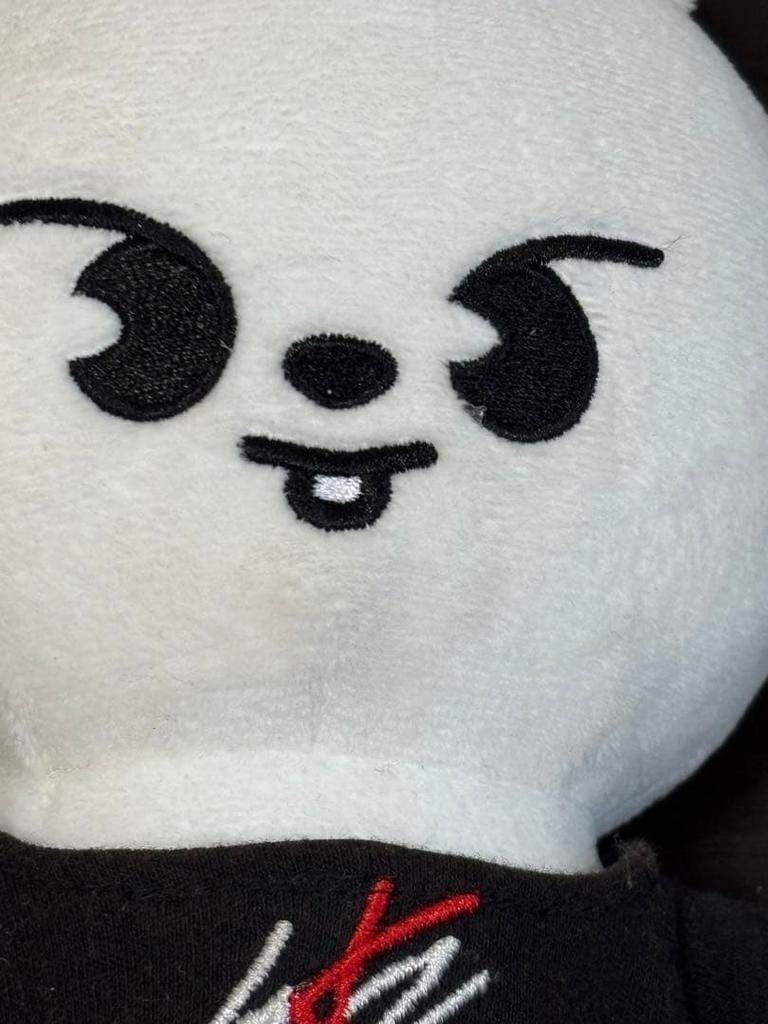 [GEBRAUCHT] Straykids Reno Plüschtier Ribbit