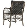 Garden Chairs with Cushions 2 Pcs Grey Poly Rattan