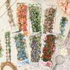 Vines Lead Flower Series Vintage Plant Floral Landscape PET Sticker Creative DIY Journal Material Collage Scrapbook Stationery