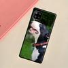 Bullterrier Bull Terrier Dog Cover For Samsung Galaxy A53 A33 A23 A13 A51 A71 A12 A22 A32 A52 S A14 A34 A54 Phone Case