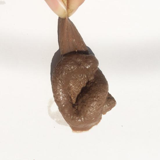 Decorative Kids Toy Great Smell-less Fake Poop Prank Gift Soft