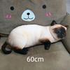 3D Printed Pig Stuffed Plush Pillow Realistic Soft Skin Friendly Fabric Cute Cushion for Sofa Bed Holiday Gift for Kids