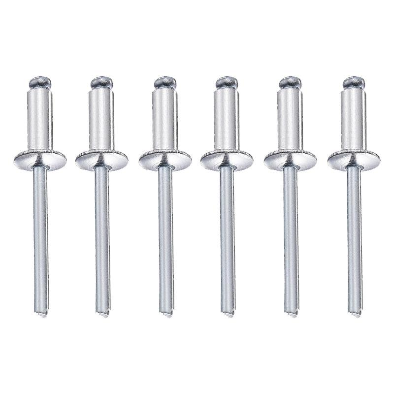 Set di Rivetti Aveugli in Alluminio con Testa Tonda e Anima in Ferro, 100 Pezzi, Argento