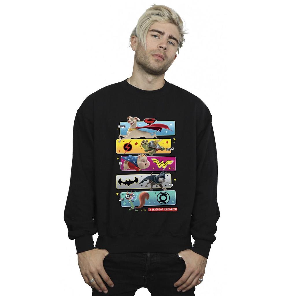DC Comics Mens DC League Of Super-Pets Character Pose Sweatshirt