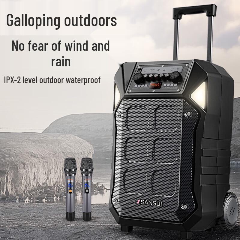 SANSUI D12 12-inch Portable Karaoke Speaker with Dual Microphones CN Plug (adapter Included)