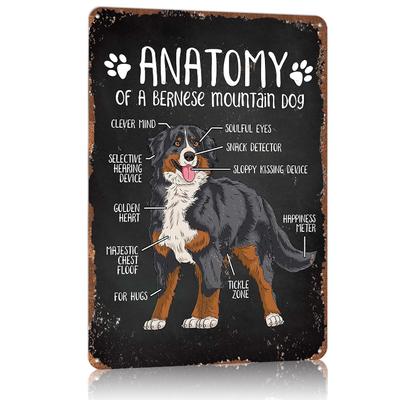Cane di San Bernardo Divertente Poster Metallico Decorazione Stanza dei Giochi Garage Segnali Metallici Personalizzati in Latta per Decorazione Murale Decor