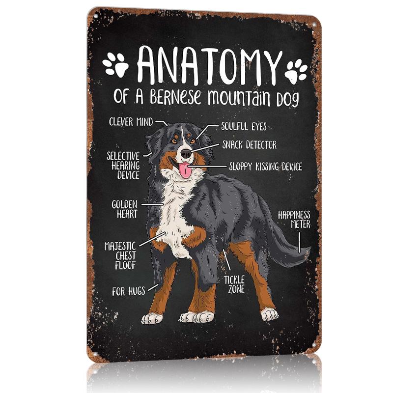 Bernese Mountain Dog Funny Metal Poster Gaming Room Decoration Garage Custom Tin Metal Signs for Wall Art Decoration Decor