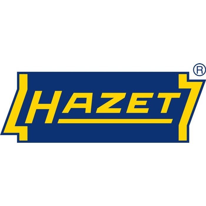 Hazet 163-257/4 Pour L'atelier Jeu De Pinces