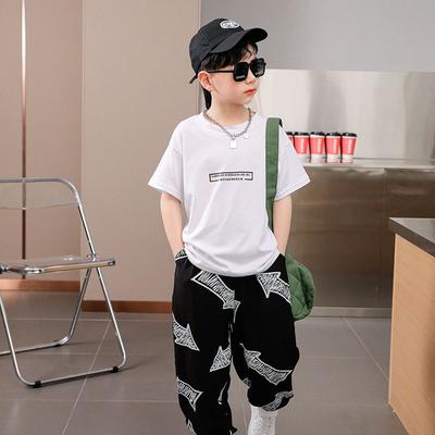 Sommer Kinder Jungen Kleidung Sets Kurzarm T-Shirt + Lockere Hose 2 STÜCKE Hip Hop Kinder Kleidung Outfits Teenager