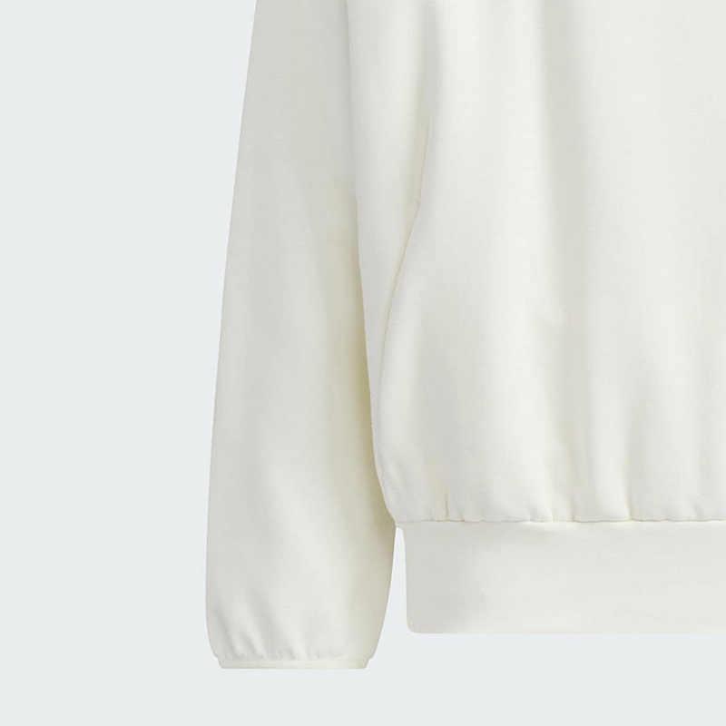 adidas Sports Casual Hooded Pullover Sweatshirt Men Sweatshirts Han-Jade-White JN0116