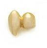 Vampire Fangs & Tiger Teeth: Hip Hop Gold & Silver Braces for Halloween