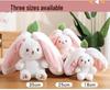Popular Strawberry & Carrot Rabbit Plush Toy - Children's Birthday Gift